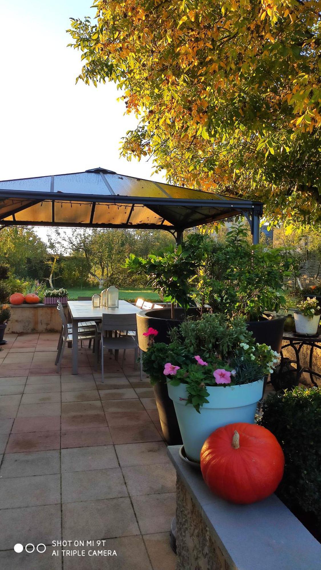 Chambres D'Hotes Le Clos Du Verger Cattenom Bagian luar foto